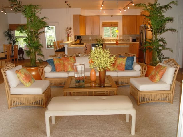 large open living room, a dining room and a gourmet kitchen
